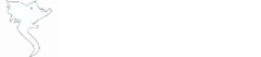 Neo Scripts